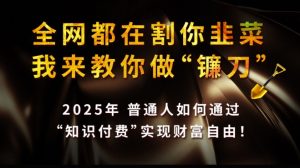 全网都在割你韭菜，我来教你做镰刀,2025普通人如何通过知识付费，实现财F自由【揭秘】-小哈资源