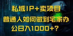 私域IP+卖项目，普通人如何做到宅家办公实现日入1000+-小哈资源