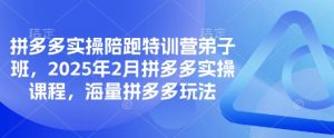 拼多多实操陪跑特训营弟子班，2025年2月拼多多实操课程，海量拼多多玩法-小哈资源