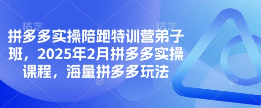 拼多多实操陪跑特训营弟子班，2025年2月拼多多实操课程，海量拼多多玩法-小哈资源