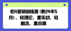 老A营销训练营(更25年3月)，轻理论，重实战，轻概念，重本质-小哈资源