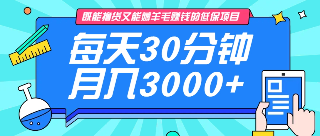 既能撸货又能赚钱的长期低保项目，每天30分钟，多号百分百稳定月入3000+！-小哈资源