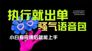 爆火全网的开车导航骚气语音包,只要执行就出单，小白看完课程就能实操...-小哈资源