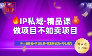 2025年“IP私域·密训精品课”，日赚3000+小白避坑年赚百万，暴力引流...-小哈资源