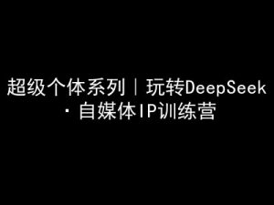 超级个体系列，玩转DeepSeek·自媒体IP训练营，deepseek教程-小哈资源