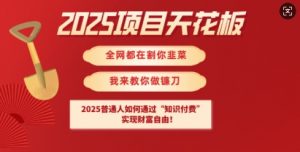 2025项目天花板普通人如何通过知识付费，实现财F自由【揭秘】-小哈资源