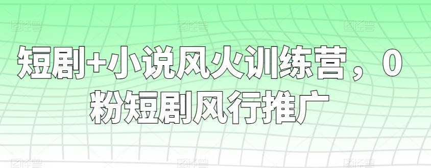 短剧+小说风火训练营，0粉短剧风行推广-小哈资源