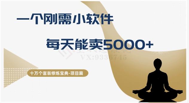 十万个富翁修炼宝典之17.一个刚需小软件，每天能卖5000+-小哈资源