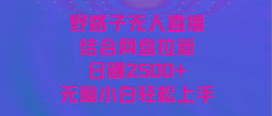 无人直播野路子结合网盘拉新，日赚2500+多平台变现，小白无脑轻松上手操作-小哈资源