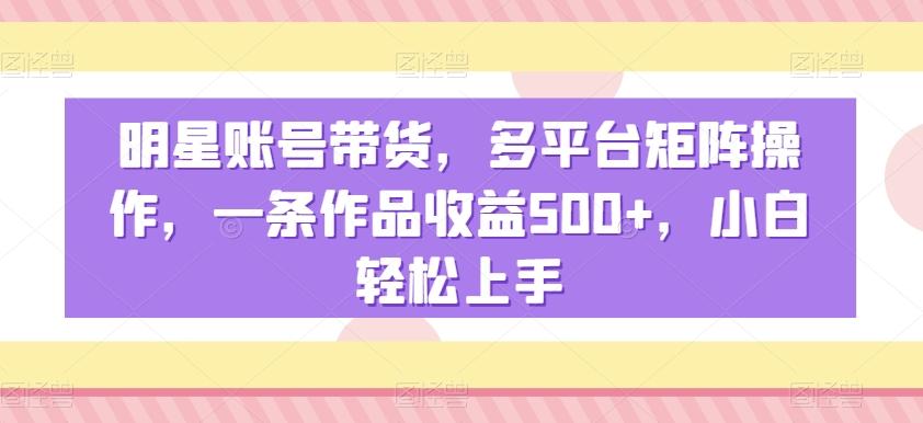 明星账号带货，多平台矩阵操作，一条作品收益500+，小白轻松上手【揭秘】-小哈资源