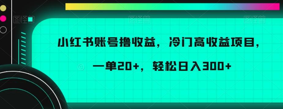 小红书账号撸收益，冷门高收益项目，一单20+，轻松日入300+【揭秘】-小哈资源