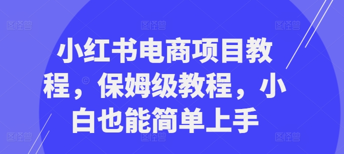 小红书电商项目教程，保姆级教程，小白也能简单上手-小哈资源