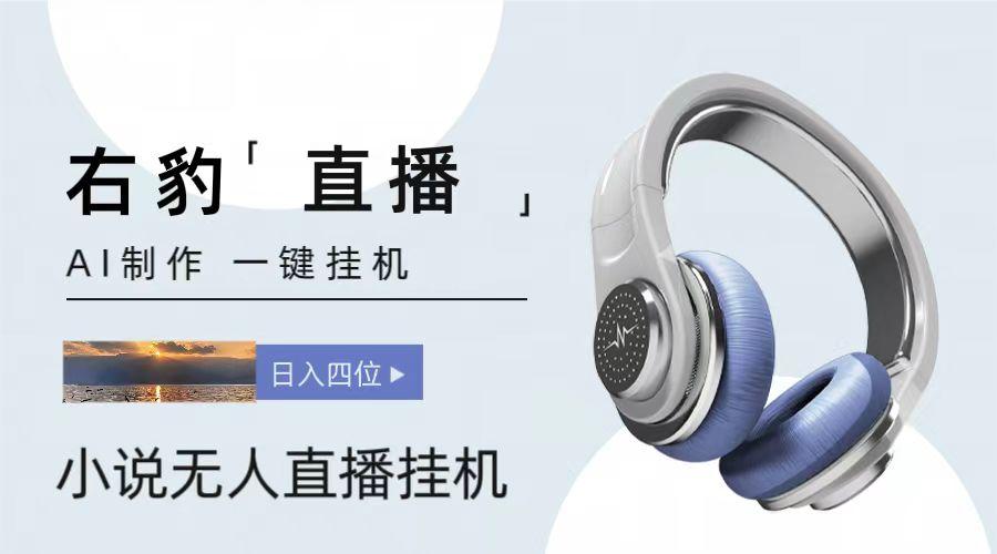 右豹小说无人直播挂机吸金项目，简单易行收益稳定， 月入1000+-小哈资源