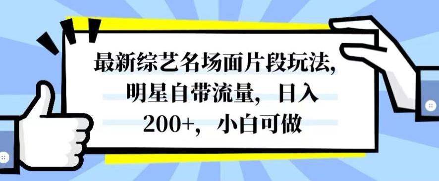 最新综艺名场面片段玩法，明星自带流量，日入200+，小白可做【揭秘】-小哈资源