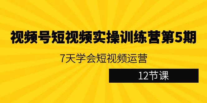 视频号短视频实操训练营第5期：7天学会短视频运营(12节课)-小哈资源