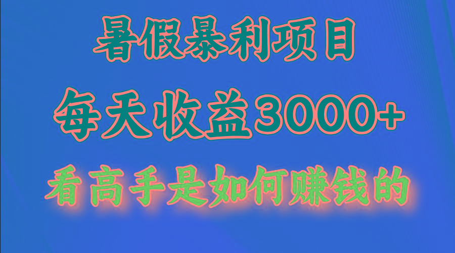 暑假暴力项目 1天收益3000+，视频号，快手，不露脸直播.次日结算-小哈资源