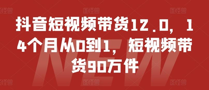 抖音短视频带货12.0，14个月从0到1，短视频带货90万件-小哈资源