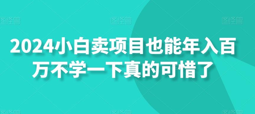 2024小白卖项目也能年入百万不学一下真的可惜了-小哈资源