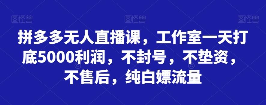 拼多多无人直播课，工作室一天打底5000利润，不封号，不垫资，不售后，纯白嫖流量-小哈资源