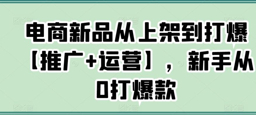 电商新品从上架到打爆【推广+运营】，新手从0打爆款-小哈资源
