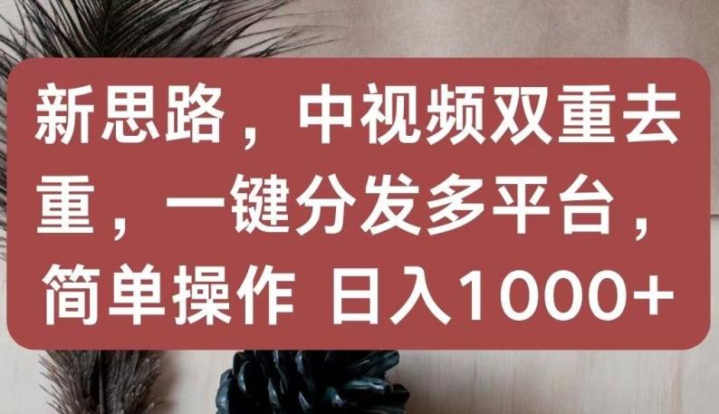 新思路，中视频双重去重，一键分发多平台，简单操作，日入1000+【揭秘】-小哈资源