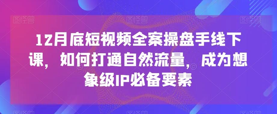 12月底短视频全案操盘手线下课，如何打通自然流量，成为想象级IP必备要素-小哈资源