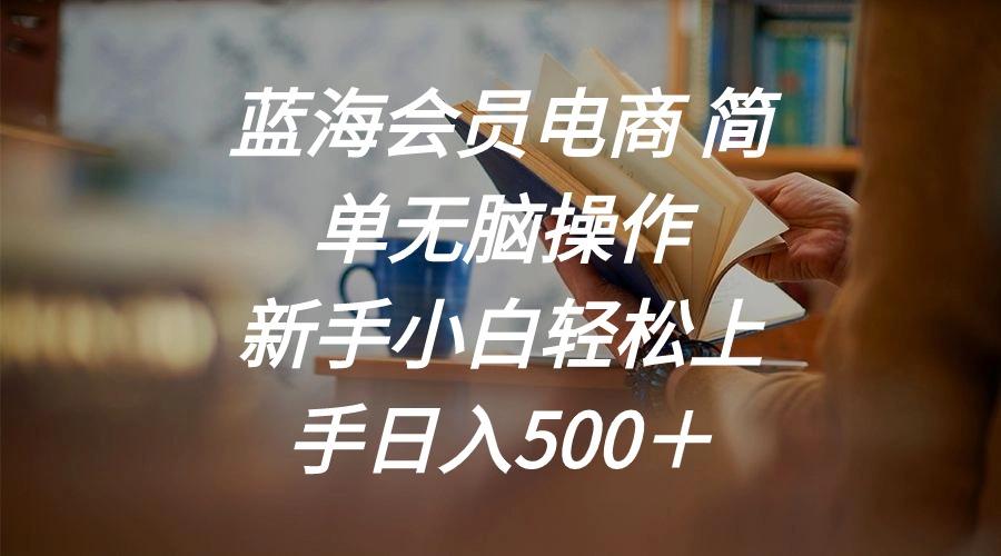 蓝海会员电商 简单无脑操作 新手小白轻松上手日入500＋-小哈资源