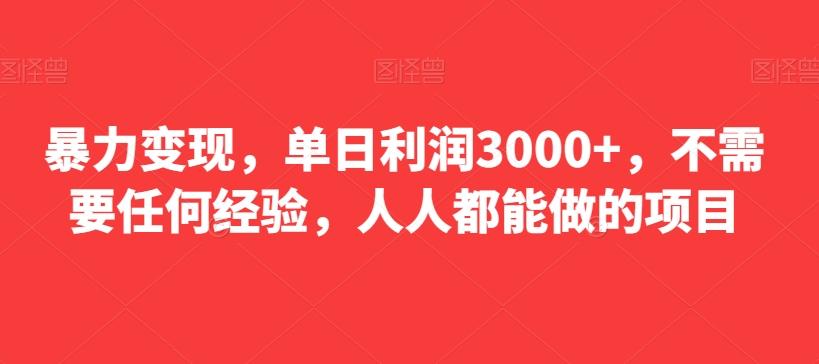 暴力变现，单日利润3000+，不需要任何经验，人人都能做的项目-小哈资源