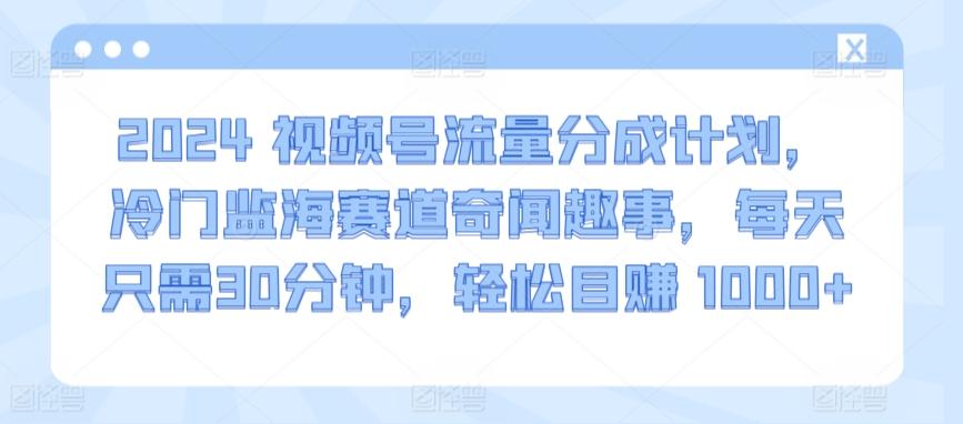 2024视频号流量分成计划，冷门监海赛道奇闻趣事，每天只需30分钟，轻松目赚 1000+【揭秘】-小哈资源