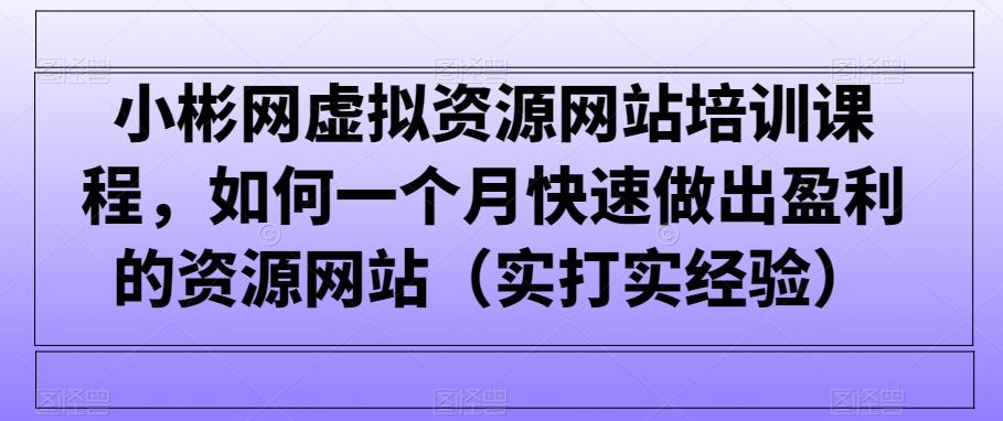 小彬网虚拟资源网站培训课程，如何一个月快速做出盈利的资源网站(实打实经验)-小哈资源