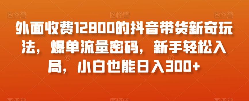 外面收费12800的抖音带货新奇玩法，爆单流量密码，新手轻松入局，小白也能日入300+【揭秘】-小哈资源