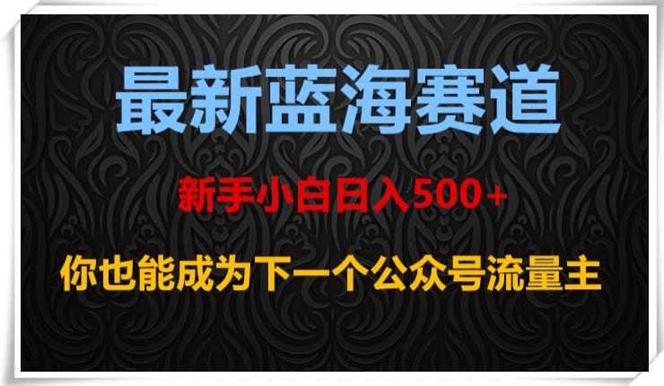 最新蓝海赛道，新手小白日入500+，你也能成为下一个公众号流量主【揭秘】-小哈资源