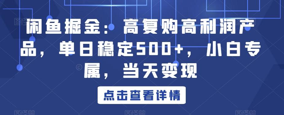 闲鱼掘金：高复购高利润产品，单日稳定500+，小白专属，当天变现-小哈资源