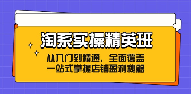 淘系实操精英班：从入门到精通，全面覆盖，一站式掌握店铺盈利秘籍-小哈资源