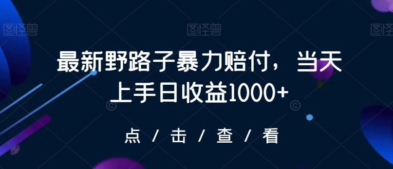 最新野路子暴力赔付，当天上手日收益1000+【仅揭秘】-小哈资源