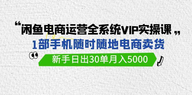 (9547期)闲鱼电商运营全系统VIP实战课，1部手机随时随地卖货，新手日出30单月入5000-小哈资源