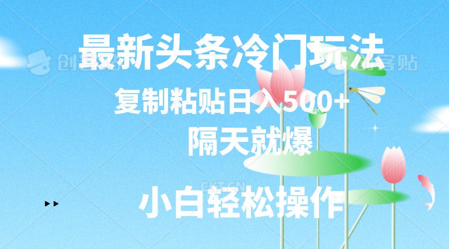 最新头条冷门玩法，隔天就爆，复制粘贴日入500+-小哈资源