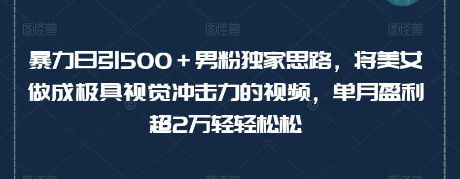 暴力日引500＋男粉独家思路，将美女做成极具视觉冲击力的视频，单月盈利超2万轻轻松松-小哈资源