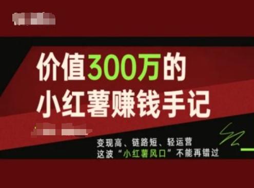 价值300万的小红书赚钱手记，变现高、链路短、轻运营，这波“小红薯风口”不能再错过-小哈资源