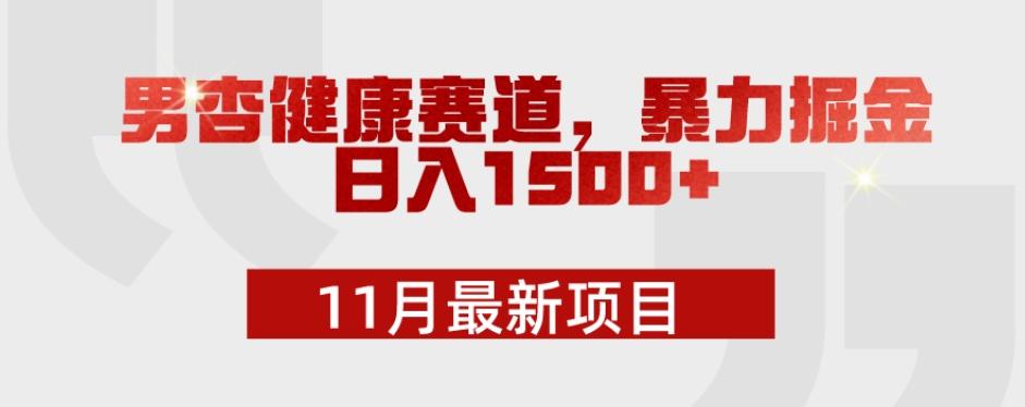 11月最新项目，男杏健康赛道，暴力掘金，日入1500+-小哈资源