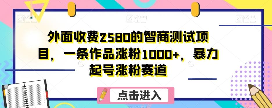 外面收费2580的智商测试项目，一条作品涨粉1000+，暴力起号涨粉赛道【揭秘】-小哈资源