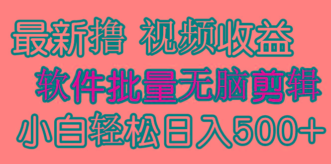 (9569期)发视频撸收益，软件无脑批量剪辑，第一天发第二天就有钱-小哈资源