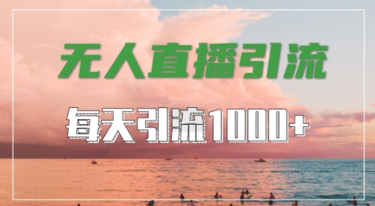 抖音快手视频号全平台通用，无人直播引流法，超暴力引流1000+高质量精准创业粉【揭秘】-小哈资源