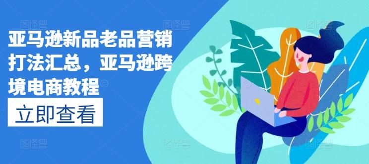 亚马逊新品老品营销打法汇总，亚马逊跨境电商教程-小哈资源