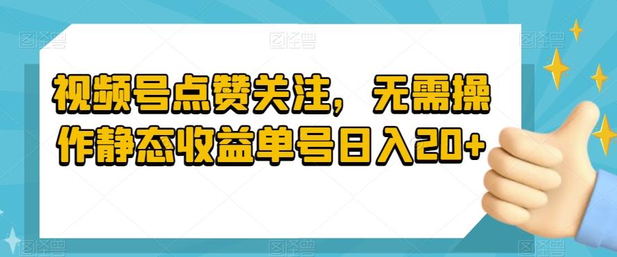 视频号点赞关注，无需操作静态收益单号日入20+-小哈资源