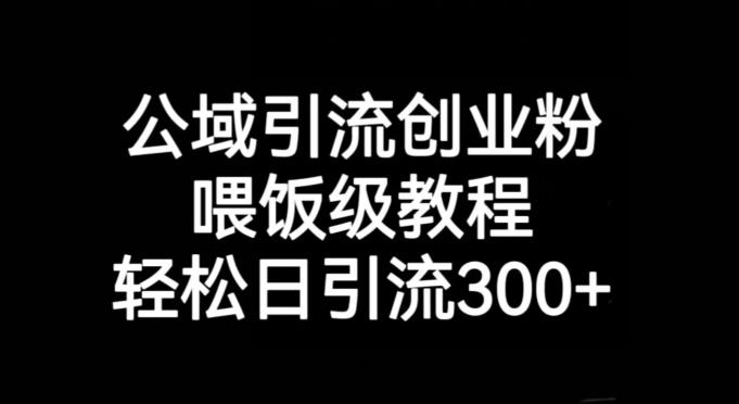 公域引流创业粉，喂饭级教程，轻松日引流300+【揭秘】-小哈资源