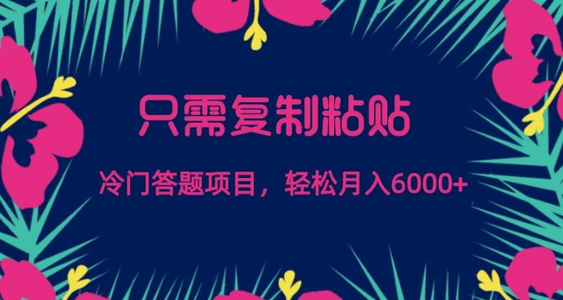 只需复制粘贴，冷门答题项目，轻松月入6000-小哈资源