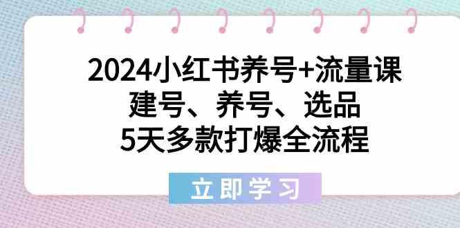 2024小红书养号+流量课：建号、养号、选品，5天多款打爆全流程-小哈资源