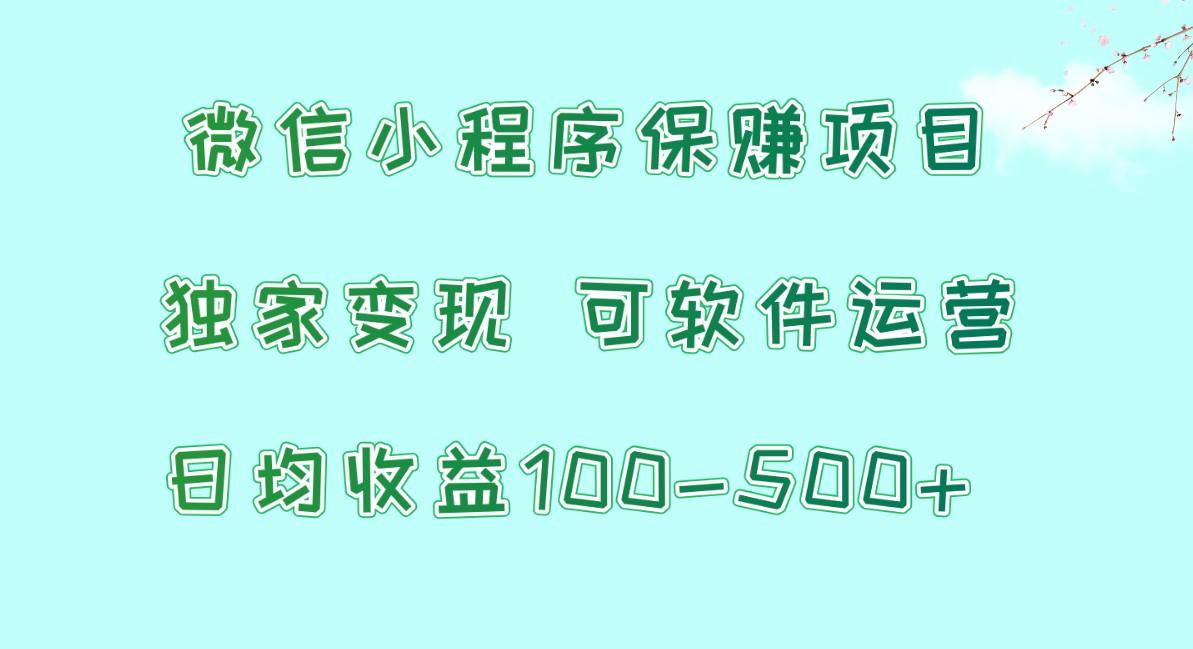 微信小程序保赚项目，日均收益100~500+，独家变现，可软件运营-小哈资源