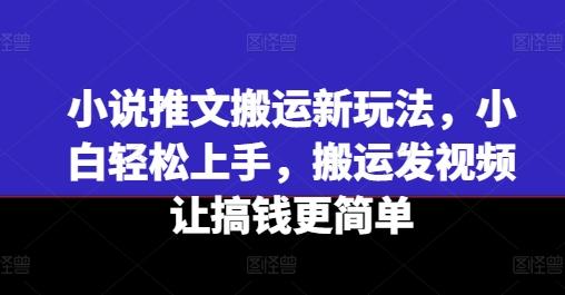 小说推文搬运新玩法，小白轻松上手，搬运发视频让搞钱更简单-小哈资源
